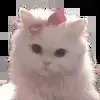 Стикер 27 cursed kittens