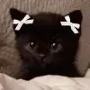 Стикер 42 cursed kittens