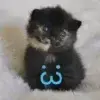 Стикер 46 cursed kittens