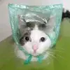 Стикер 5 cursed kittens