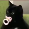 Стикер 53 cursed kittens