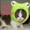 Стикер 52 cursed kittens