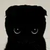 Стикер 43 cursed kittens