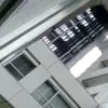 Стикер 49 ️ curseweb