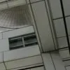 Стикер 52 ️ curseweb