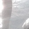 Стикер 29 ️ curseweb