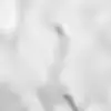 Стикер 58 Curseweb ️