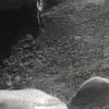 Стикер 11 Curseweb ️