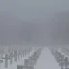 Стикер 25 Curseweb ️