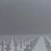 Стикер 24 Curseweb ️