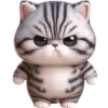 Стикер 3 🥺полосатый котёнок