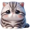 Стикер 31 🥺полосатый котёнок