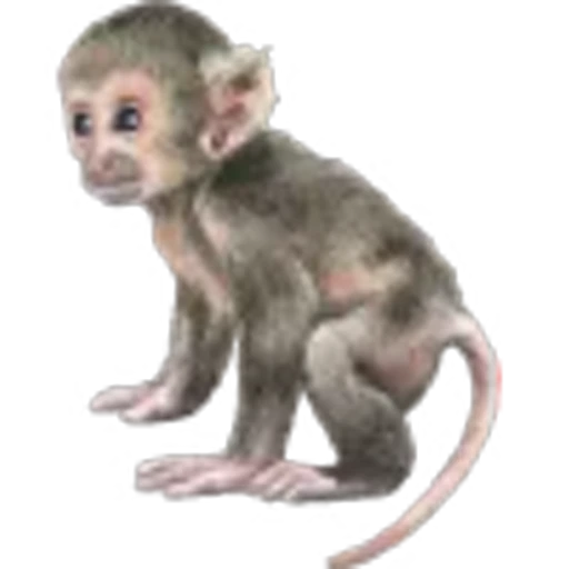 🐒 Эмодзи «cute» для Telegram