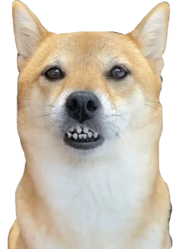 😲 Стикер «Cute_vol.2» для Telegram