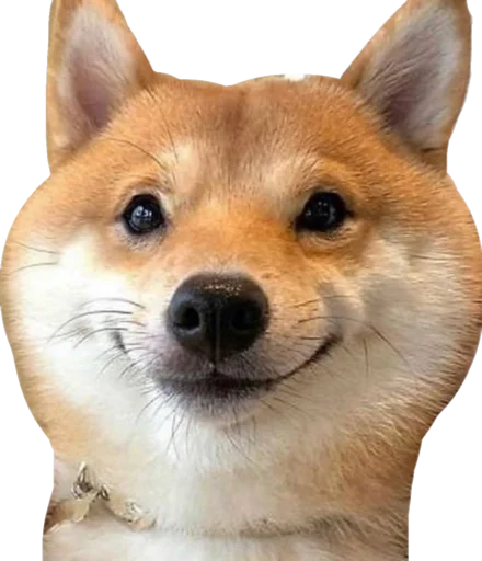 😃 Стикер «Cute_vol.2» для Telegram