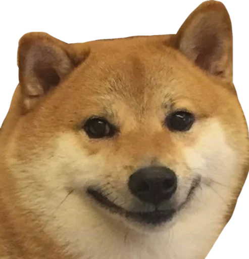 😊 Стикер «Cute_vol.2» для Telegram