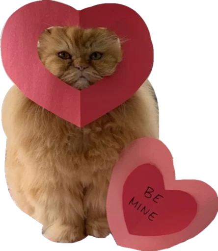 🧡 Стикер «Cute_vol.2» для Telegram