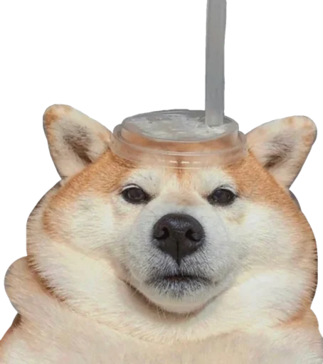 🥤 Стикер «Cute_vol.2» для Telegram