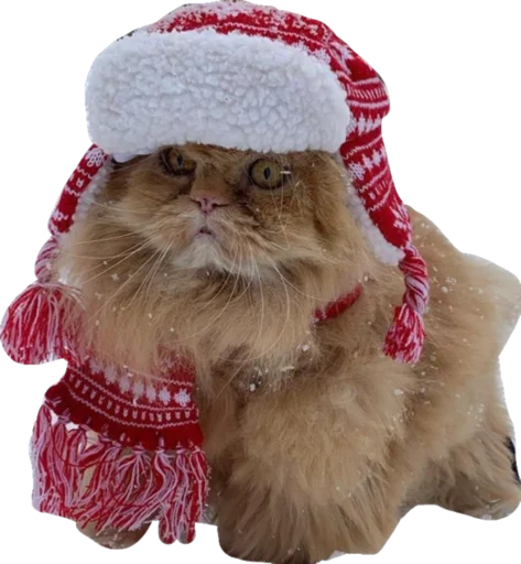 ❄️ Стикер «Cute_vol.2» для Telegram