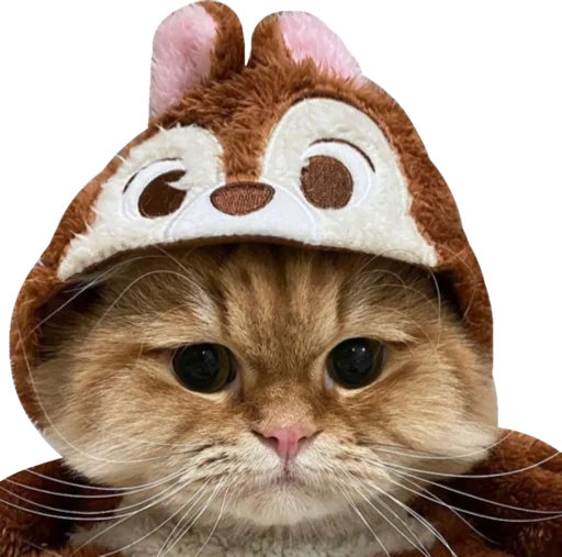 🐿 Стикер «Cute_vol.2» для Telegram