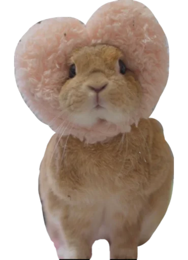 😍 Стикер «Cute_vol.2» для Telegram