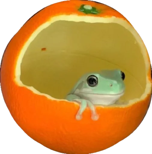 🍊 Стикер «Cute_vol.2» для Telegram