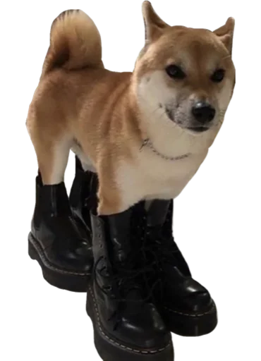 👢 Стикер «Cute_vol.2» для Telegram