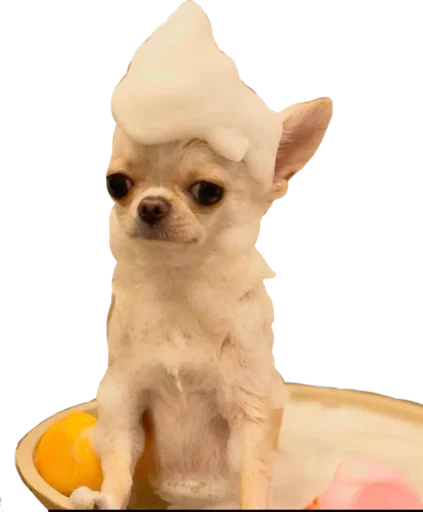 🛁 Стикер «Cute_vol.2» для Telegram