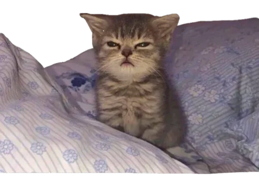 🤤 Стикер «Cute_vol.2» для Telegram