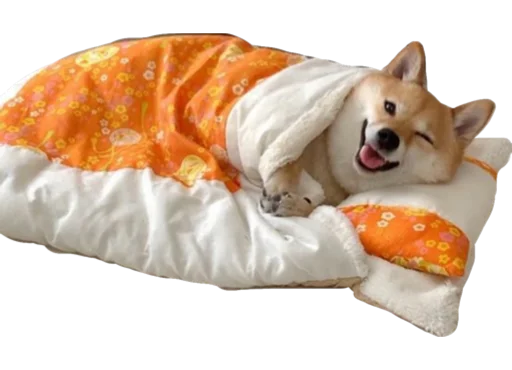🛌 Стикер «Cute_vol.2» для Telegram