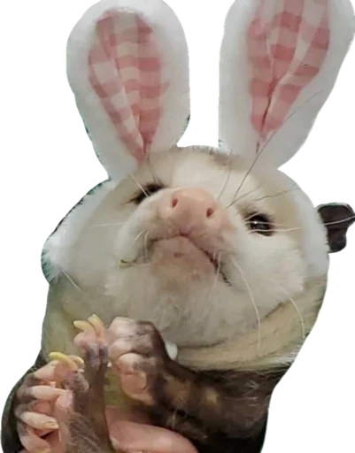 🐰 Стикер «Cute_vol.2» для Telegram