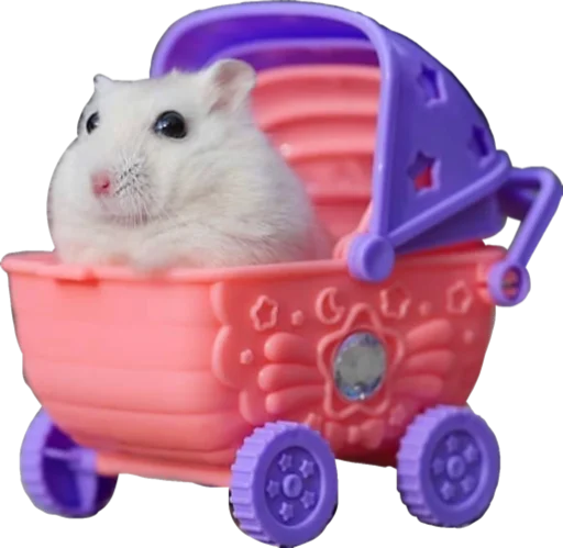 🚗 Стикер «Cute_vol.2» для Telegram