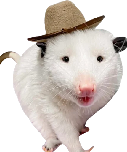 🎩 Стикер «Cute_vol.2» для Telegram