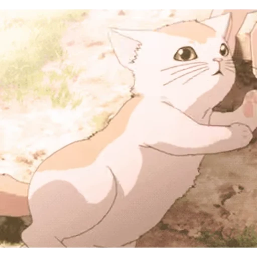 🐈 Стикер «cute» для Telegram