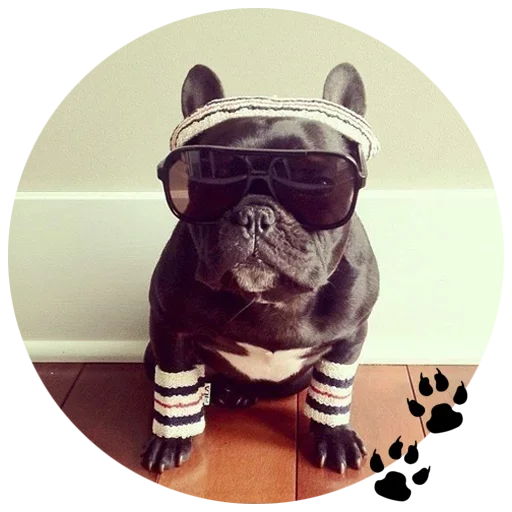 🐶 Стикер «Cute Dogs» для Telegram