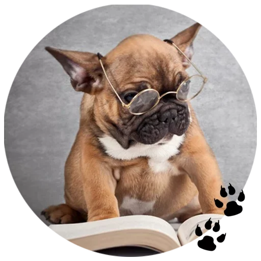 🐶 Стикер «Cute Dogs» для Telegram