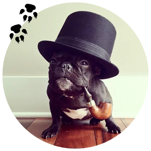 🐶 Стикер «Cute Dogs» для Telegram