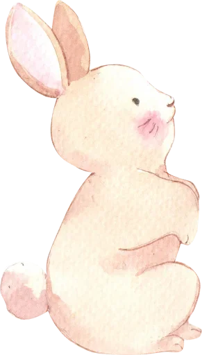 🐰 Стикер «Cute Emotions» для Telegram