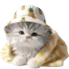 🥱 Эмодзи «Котик в шляпе ананасе» для Telegram