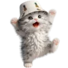 🤪 Эмодзи «Котик в шляпе ананасе» для Telegram