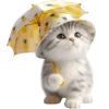 ☂ Эмодзи «Котик в шляпе ананасе» для Telegram