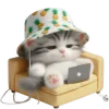 🫠 Эмодзи «Котик в шляпе ананасе» для Telegram