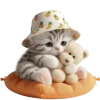 🤗 Эмодзи «Котик в шляпе ананасе» для Telegram
