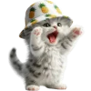 👹 Эмодзи «Котик в шляпе ананасе» для Telegram