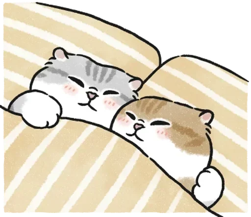 🛌 Стикер «kotyashi» для Telegram