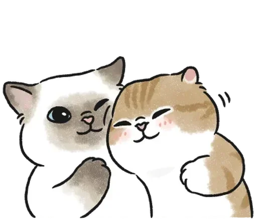 🫂 Стикер «kotyashi» для Telegram