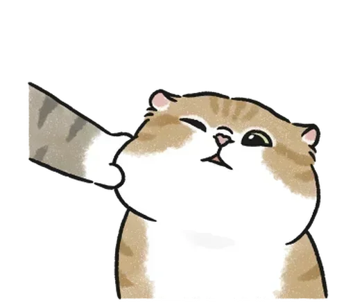 🤏 Стикер «kotyashi» для Telegram