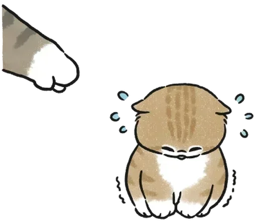 🫵 Стикер «kotyashi» для Telegram