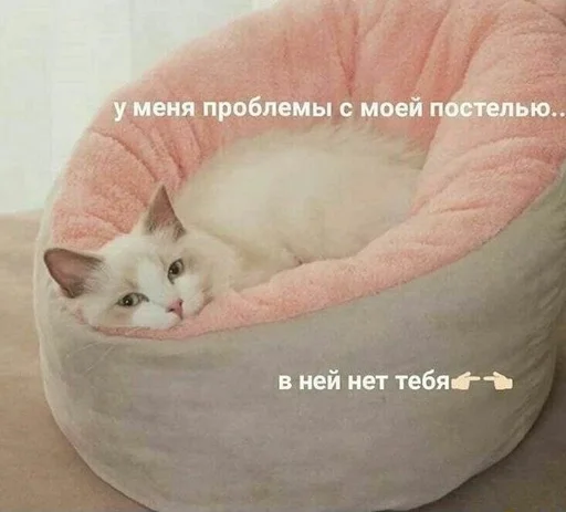 🥹 Стикер «животные кьют» для Telegram