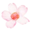 Стикер 10 flowers - цветочки
